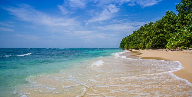 Bocas del Toro