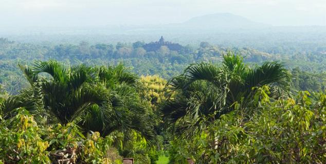 Borobudur View