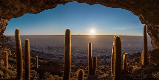 Cactus Island, Uyuni Salt Flat