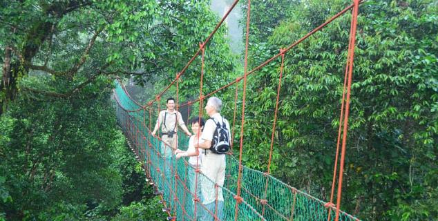 Canopy Walkway