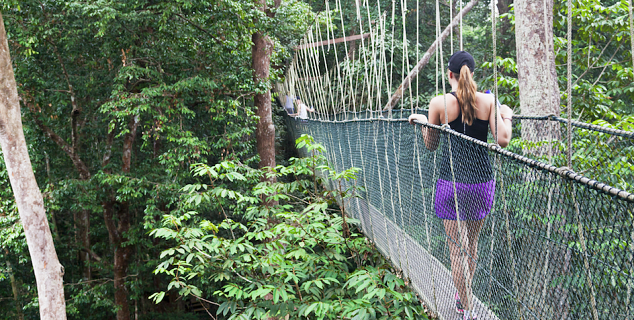 Canopy Walkway