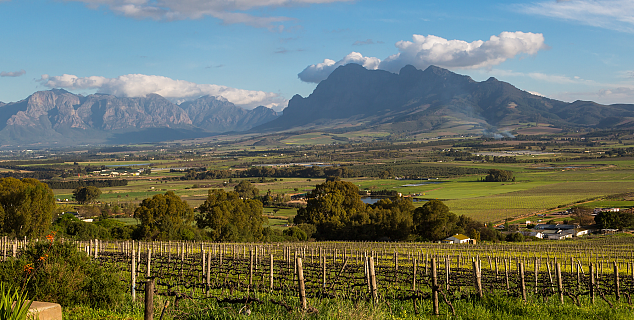 Cape Wine Lands