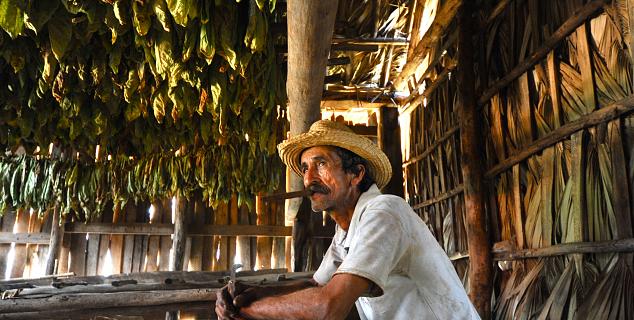 Cigar Factory, Viñales