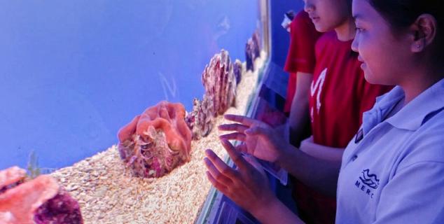 Clams at Marine Centre