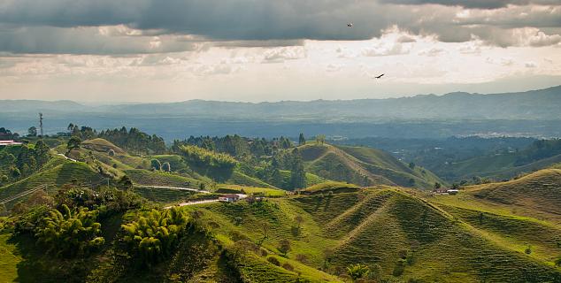 Coffee Triangle, Colombia
