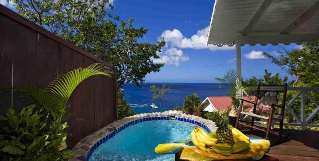 Cottage with Plunge Pool