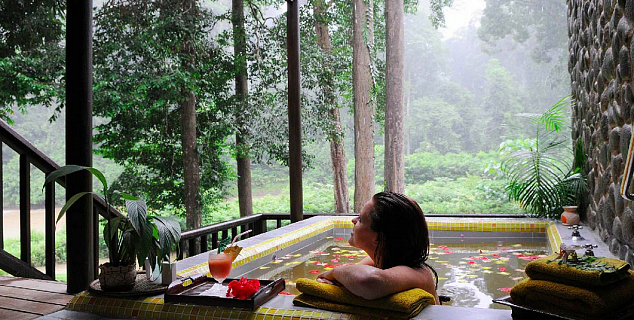 Deluxe Chalet Jungle View