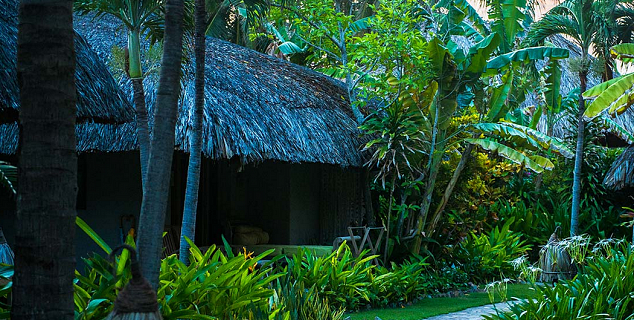 Deluxe Garden Bungalow