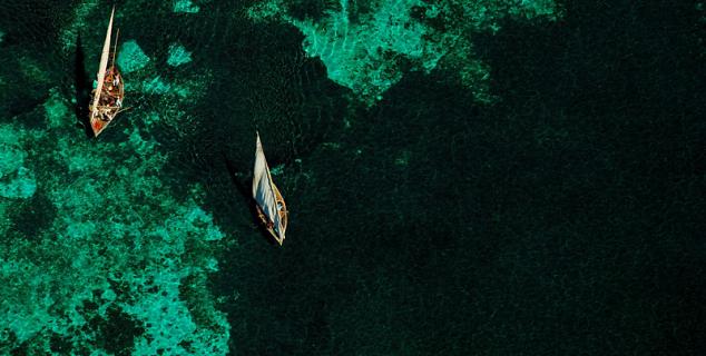 Dhows under sail