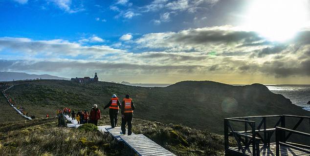 Discover Cape Horn