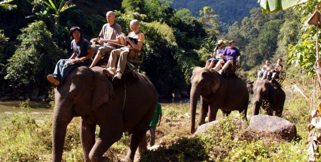 Elephant Trekking Lisu Lodge