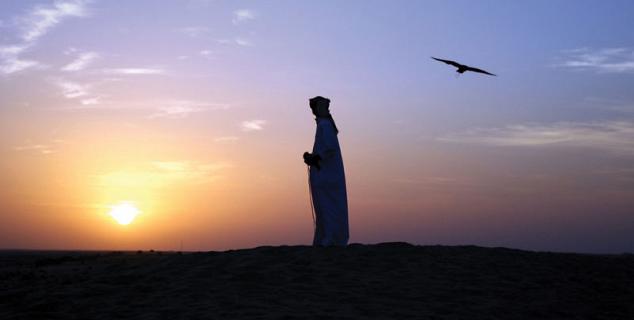 Falconry at Hatta Fort