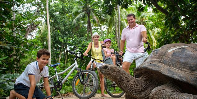 Family Holidays at North Island