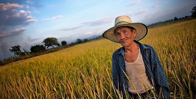 Farmer in Chiang Mai