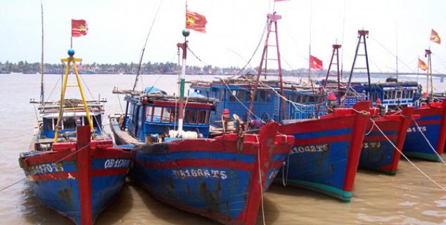Fishing boats in Dong Hoi