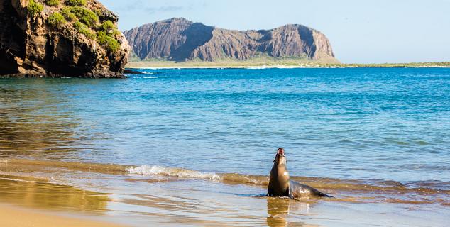 Galapagos Islands