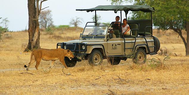 Game drive at Lake Manze