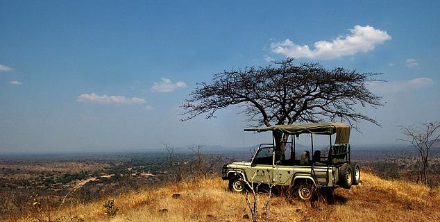 Game drive