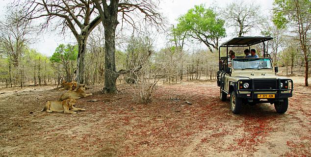 Game drive