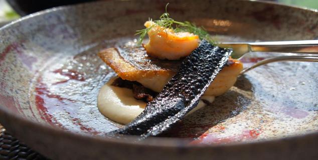 Jing An - Red Snapper