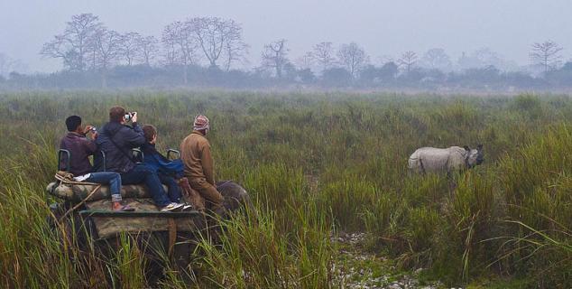 Kaziranga Safari
