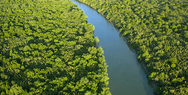 Kinabatangan River, Sabah