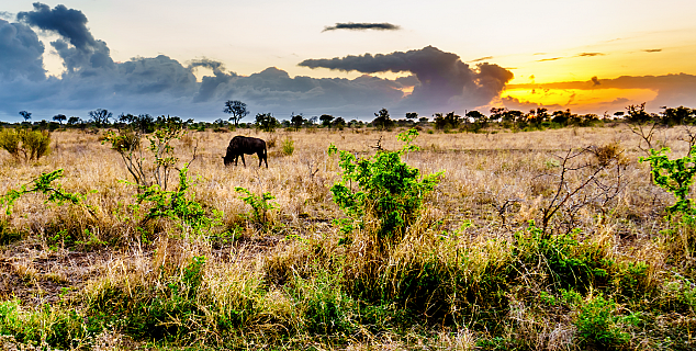 Kruger National Park