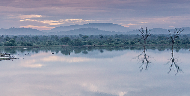 Kruger National Park