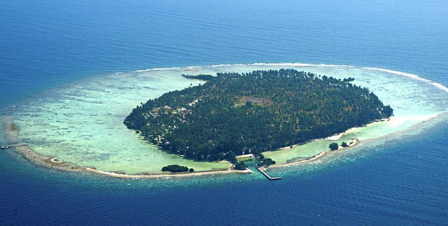 Kura Kura Island