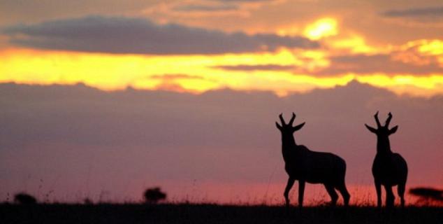 Life on the Mara steppes