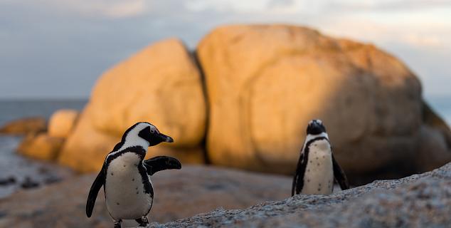 Locals near Cape Town