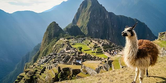 Machu Picchu