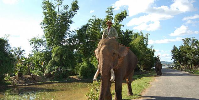 Mnong Mahout