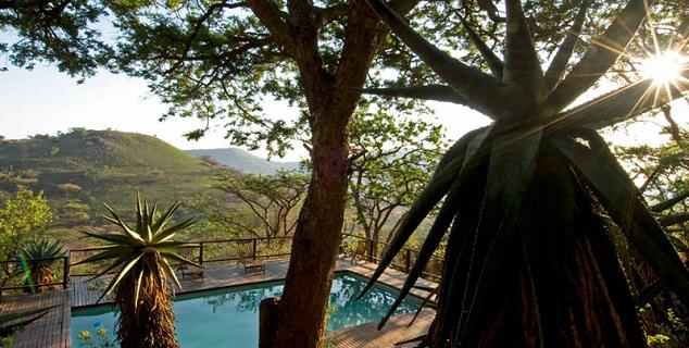 Morning at Three Trees, Spioenkop