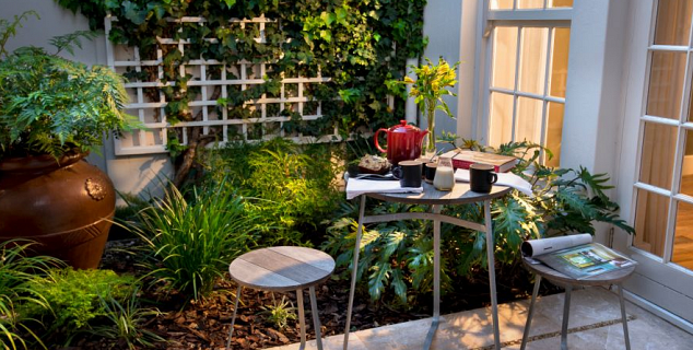 One Bedroom Apartment