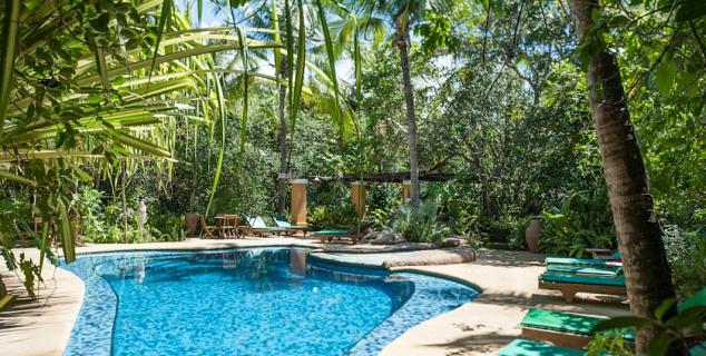 Outdoor Pool and Garden Area