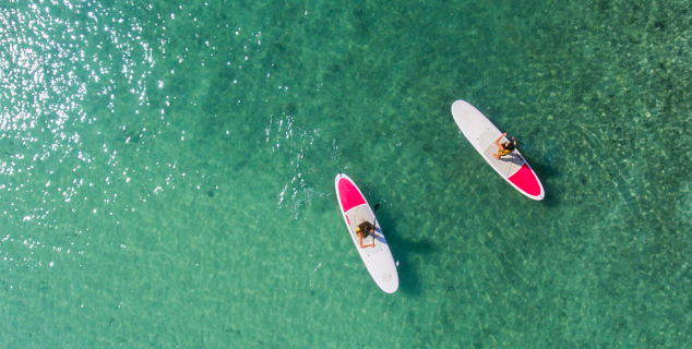 Paddle Board