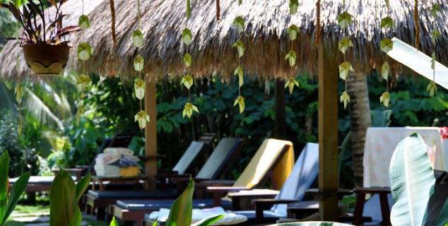 Pool House Chalet view