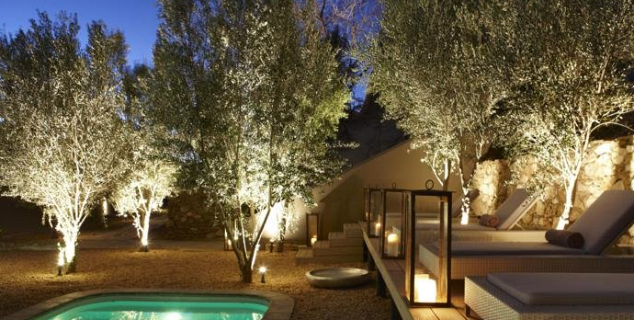 Pool and Olive Grove