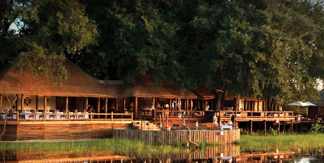 Sanctuary Chiefs Camp