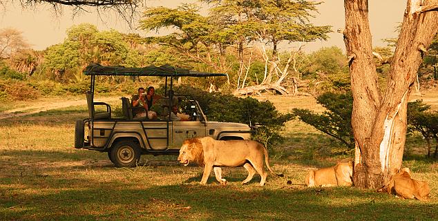 Selous Game Drive
