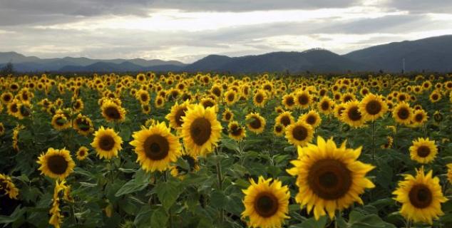 September near Lijiang