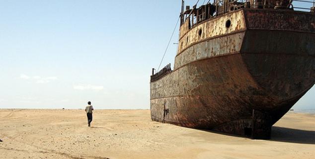Shipwrecked on the Skeleton Coast