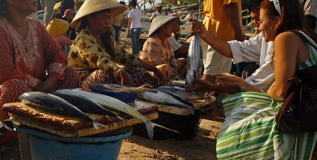 Shopping for Cooking Lesson