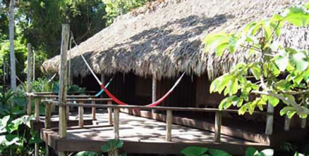 Spacious Deck and Hammocks