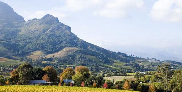 Stellenbosch, Cape Winelands