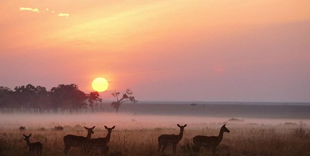 Sunset in the Mara Reserve
