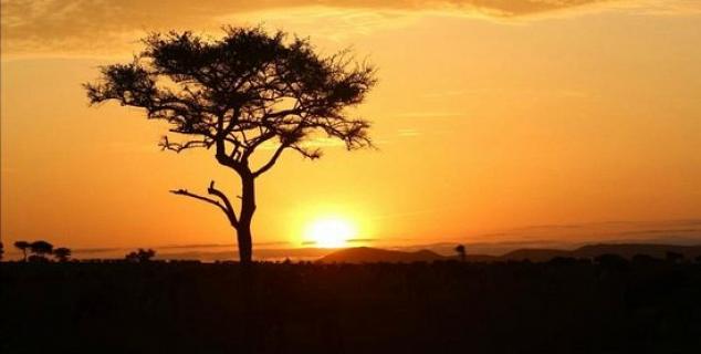 Sunset in the Masai Mara