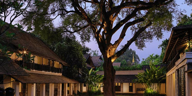 Tamarind Tree at dusk