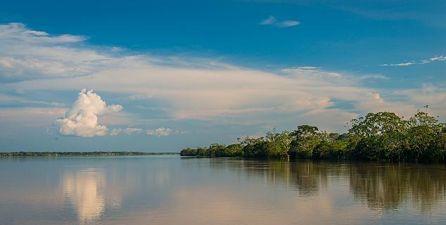 The Peruvian Amazon